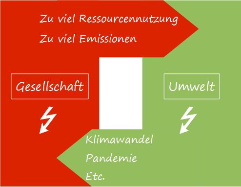 Die globale System-Krise