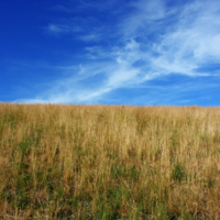 <b>"Deichhimmel"</b><br />Wilhelmsburg,<br /> Heuckenlock, <br />Juli 2006<br />Werksnummer: Flwi_007_0003<br /><br /> Deichhimmel