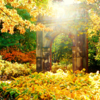 <b>"Yellow Goal"</b><br />L'Autunno, Oktober 2006<br />Werksnummer: Flne_004_0084<br /><br /> Yellow Goal