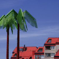 <b>"Pauli-Palmen"</b><br />San Pauli,<br /> Antonipark,<br /> Juni 2006<br />Werksnummer: SP0100<br /><br /> Pauli-Palmen