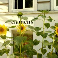 <b>"Flower-Power"</b><br />San Pauli,<br /> Clemens-Schultz-Strasse,<br /> Juli 2004<br />Werksnummer: SP0010<br /><br /> Flower-Power