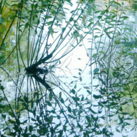 <b>"Wasserpfau"</b><br />L'Autunno, Oktober 2006<br />Werksnummer: Flne_004_0042<br /><br /> Wasserpfau