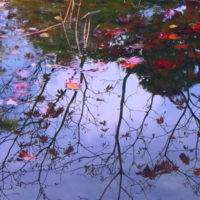 <b>"Herbstzart"</b><br />L'Autunno, Oktober 2006<br />Werksnummer: Flne_003_0044<br /><br /> Herbstzart