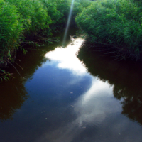 <b>"Delta"</b><br />Wilhelmsburg,<br /> Heuckenlock,<br /> Juli 2006<br />Werksnummer: Flwi_007_0086<br /><br /> Delta