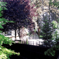 <b>"Rotkraut"</b><br />Wilhelmsburg,<br /> Industriestrasse,<br /> September 2006<br />Werksnummer: Flwi_013_0146<br /><br /> Rotkraut