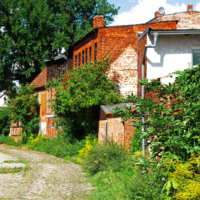 <b>"Urwüchsig"</b><br />Quitzowstraße (?),<br /> August 2022<br />Werksnummer: WB0160<br /><br /> Urwüchsig