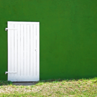 <b>"Evergreen"</b><br />Hinter den Planken (?),<br /> August 2022<br />Werksnummer: WB0180<br /><br /> Evergreen